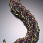 Leslee Frumin - Link It Up Bracelet